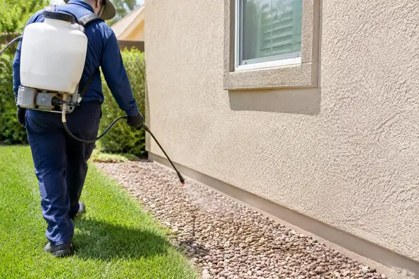 Technician spraying a pest barrier along a stucco home foundation